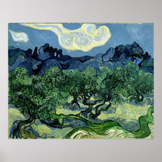 Vincent van Gogh's Olive Trees (1889) Poster (Front)