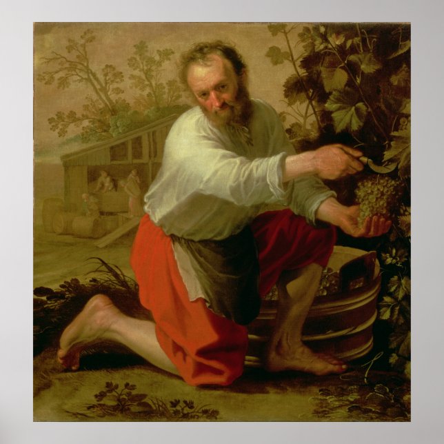 Vine Grower, 1628 Poster (Front)
