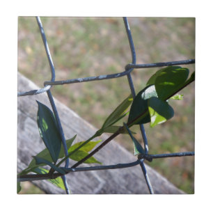 vine on a chain link fence life finds a way tile