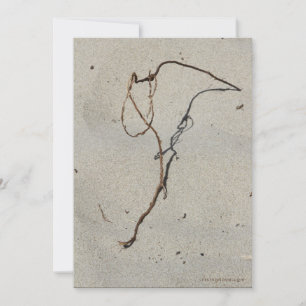 Vine/Standing Rock, Cannon Beach, Oregon Card