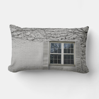 Vine Surrounding Window Lumbar Pillow