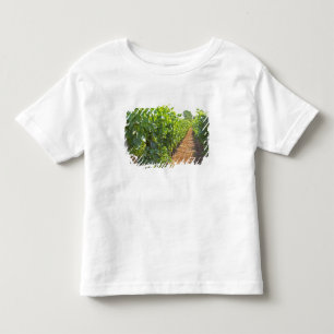 Vines trained high on wires supported by toddler t-shirt