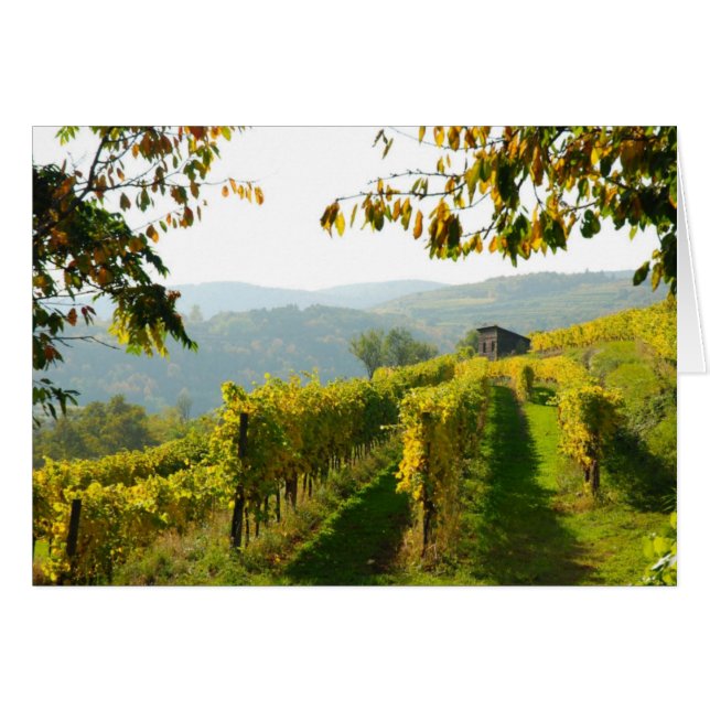 Vineyard (Devant horizontal)