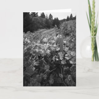 Vineyard and Hills, Draper Vineyard, 1966 Card