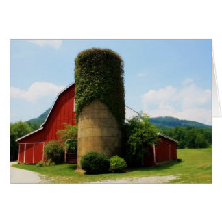 Vineyard Barn