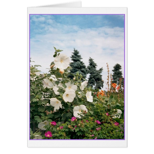 Vineyard Garden Card (Front)