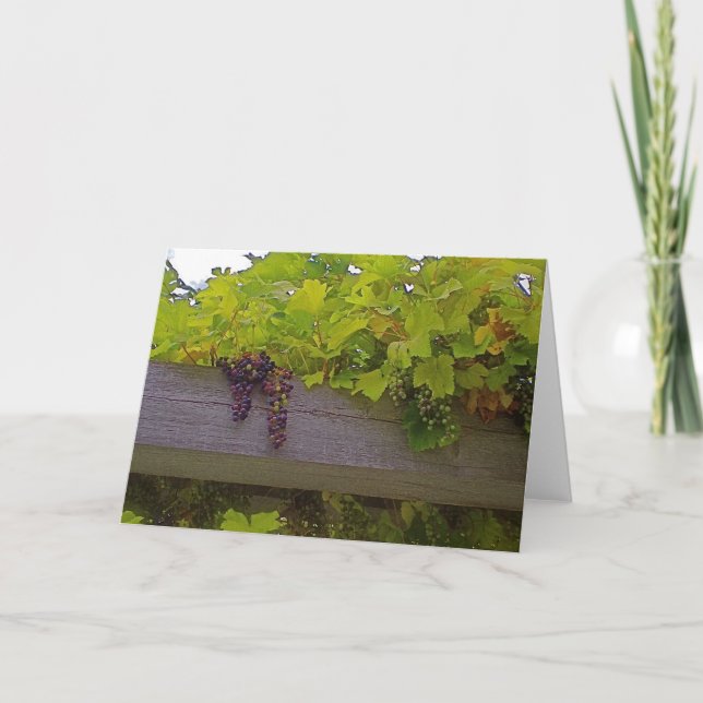 Vineyard Grapes Card (Front)