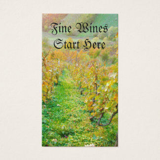 Vineyard in Autumn