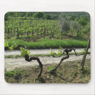Vineyard in Chianti Region of Italy Mouse Pad