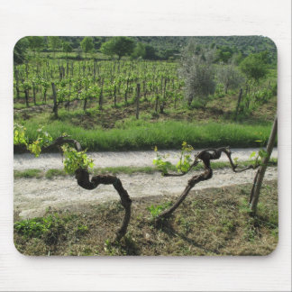Vineyard in Chianti Region of Italy Mouse Pad