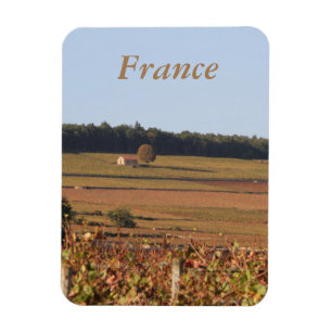 Vineyard in France printed on a magnet