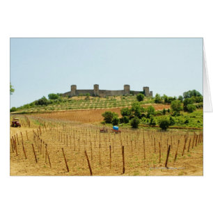 Vineyard in front of a fort, Monteriggioni,