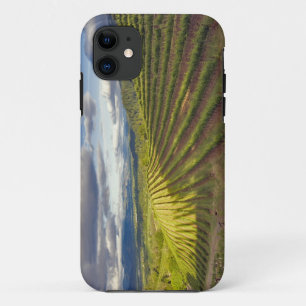 Vineyard. Napa Valley. Napa. Napa County, iPhone 11 Case