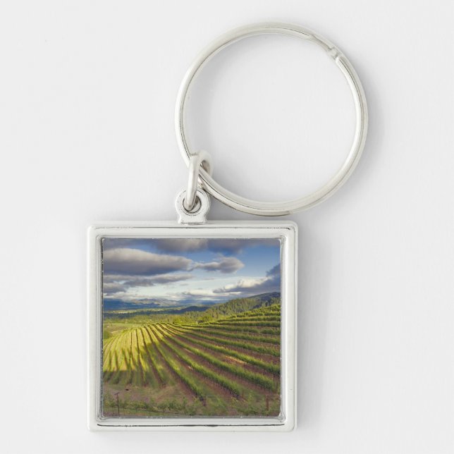 Vineyard. Napa Valley. Napa. Napa County, Keychain (Front)
