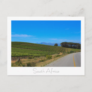 Vineyard Nature View South Africa SA Postcard
