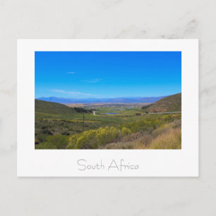 Vineyard Nature View South Africa SA Postcard