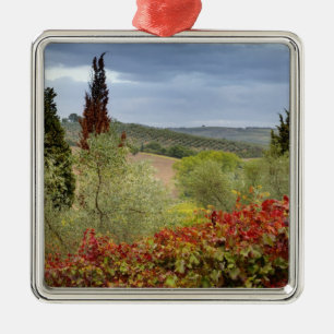 Vineyard near Montalcino, Tuscany, Italy Metal Ornament