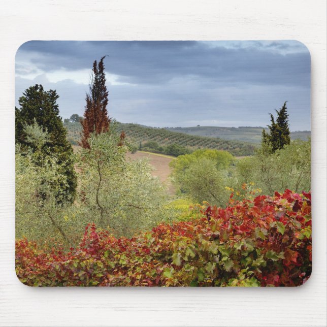 Vineyard near Montalcino, Tuscany, Italy Mouse Pad (Front)