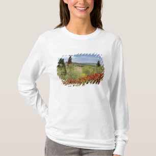 Vineyard near Montalcino, Tuscany, Italy T-Shirt