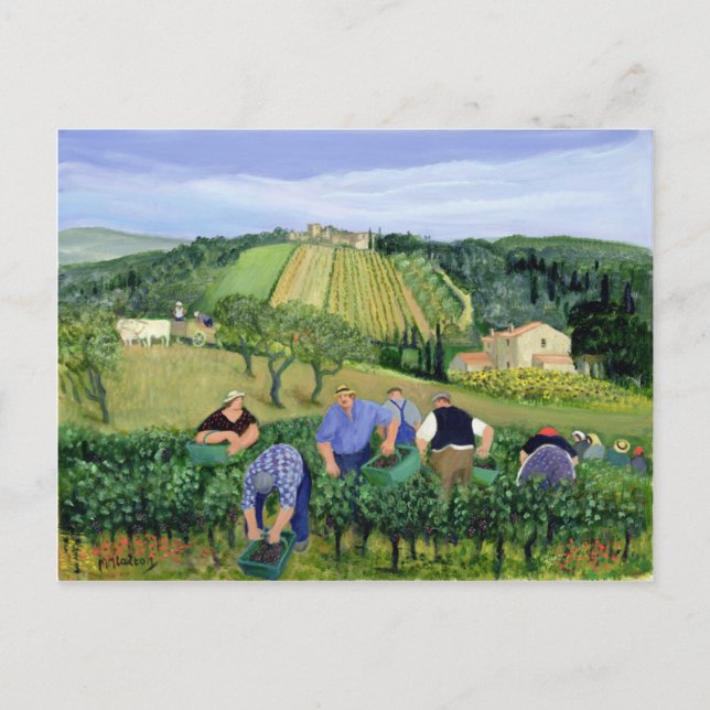Vineyard Olives and Sunflowers Postcard (Front)