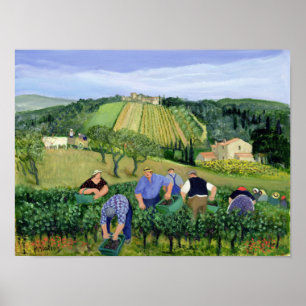 Vineyard Olives and Sunflowers Poster