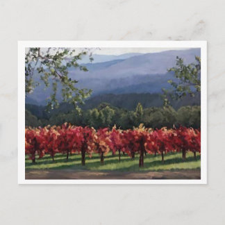 Vineyard Postcard
