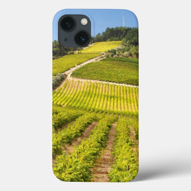 Vineyard, Stellenbosch, Western Cape Case-Mate iPhone Case (Back)
