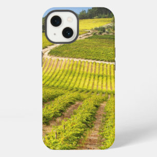Vineyard, Stellenbosch, Western Cape iPhone 13 Case