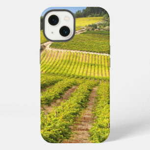 Vineyard, Stellenbosch, Western Cape iPhone 13 Case