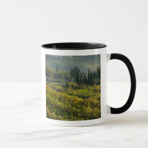 Vineyard, Tuscany, Italy Mug