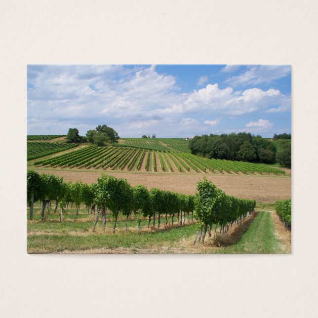 Vineyard - Vineyard (Bordeaux - France) 04 (Front)