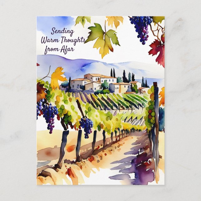 Vineyard watercolor thinking of you postcard (Front)