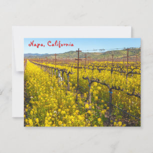Vineyard Wildflowers Postcard