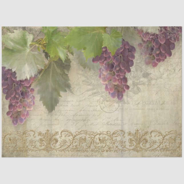 Vineyard Winery Wine Grapes Script Ephemera Tissue Paper (Front)