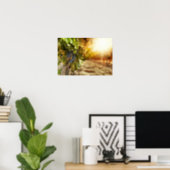 Vineyards At Sunset Poster (Home Office)