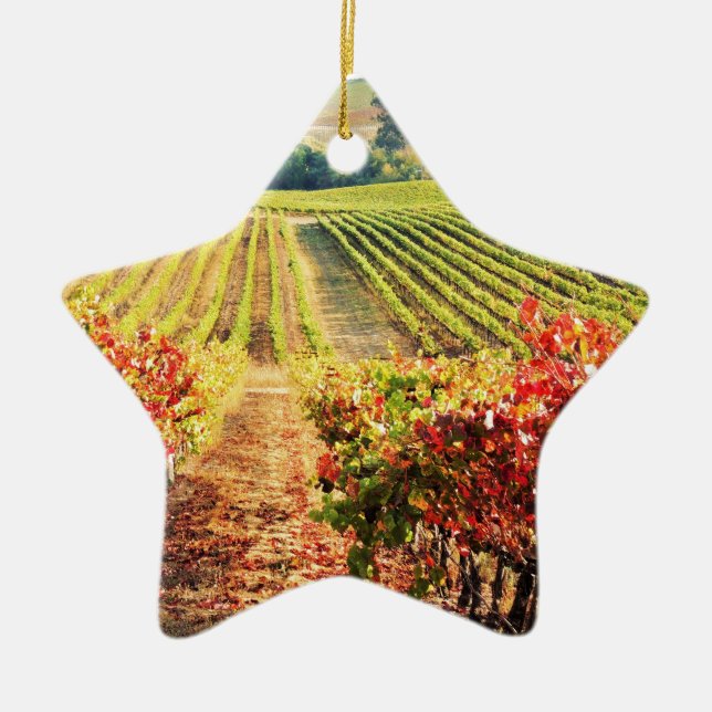 VINEYARDS.JPG CERAMIC ORNAMENT (Front)