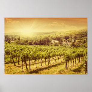 Vineyards Landscape Poster