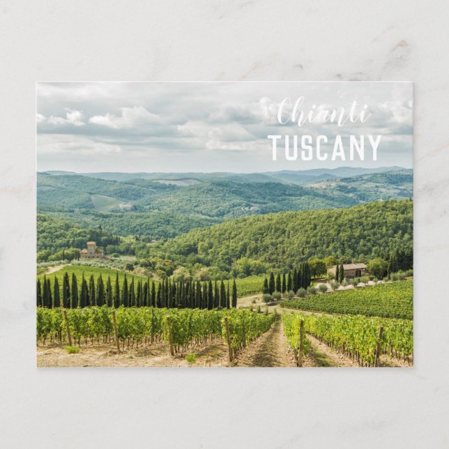 Vineyards landscapes in the morning in Chianti Postcard (Front)