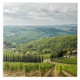 Vineyards landscapes in the morning in Chianti. Tile