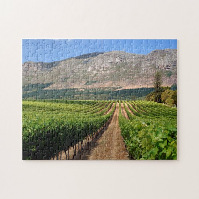 Vineyards Of Groot Constantia Wine Estate Jigsaw Puzzle (Horizontal)