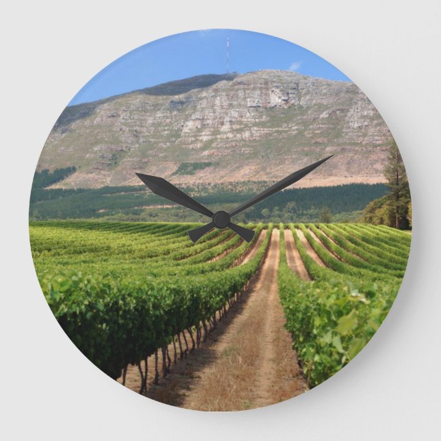 Vineyards Of Groot Constantia Wine Estate Large Clock (Front)