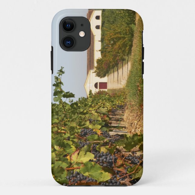 Vineyards, petit verdot vines and the winery in Case-Mate iPhone case (Back)