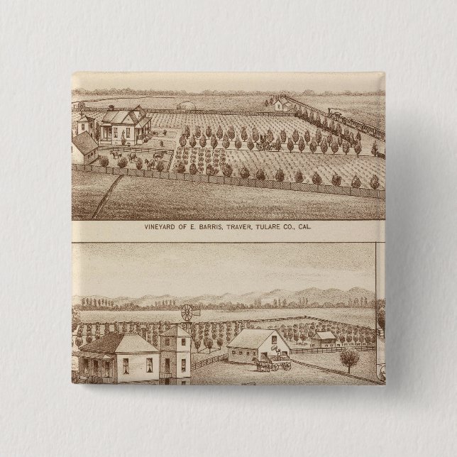 Vineyards, ranches, Tulare Co, Calif 2 Inch Square Button (Front)