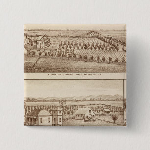 Vineyards, ranches, Tulare Co, Calif 2 Inch Square Button