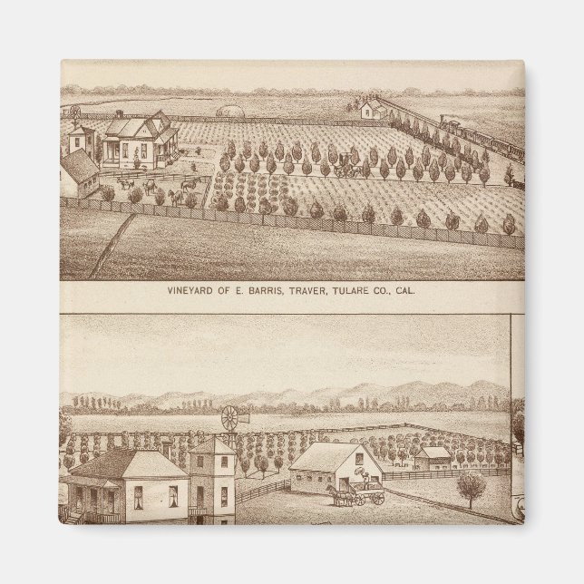 Vineyards, ranches, Tulare Co, Calif Magnet (Front)
