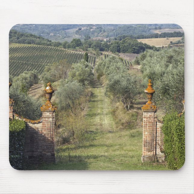 Vineyards, Tuscany, Italy Mouse Pad (Front)