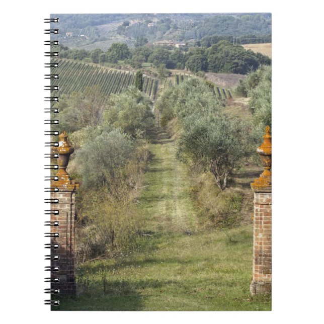 Vineyards, Tuscany, Italy Notebook (Front)
