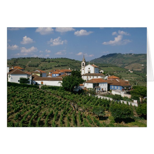 Vineyards, Village of San Miguel, Douro (Front Horizontal)
