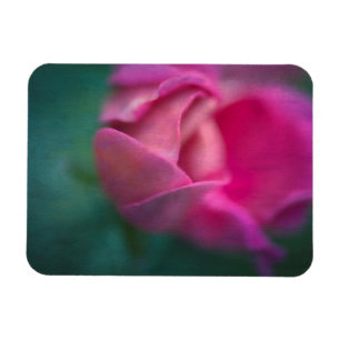 Vining Geranium Bud, Digitally Altered Magnet