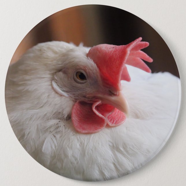 Vinny  6 inch round button (Front)